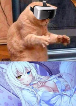 THIS CAT HAS GOOD TASTE