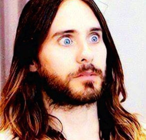 la-leto: Jared’s Twitter replies…. Endlessly entertaining.