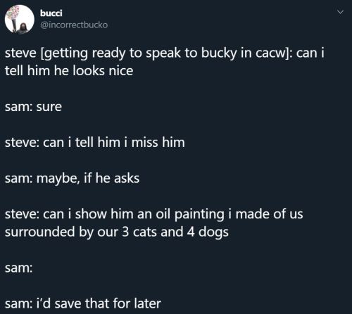 incorrect stevebucky