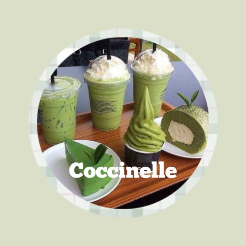 › 𝘵𝘩𝘦 𝘤𝘢𝘶𝘴𝘦 𝘰𝘧 𝘮𝘺 𝘦𝘶𝘱𝘩𝘰𝘳𝘪𝘢. 🌱🧚‍♀️