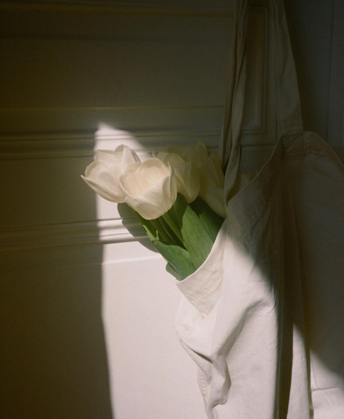 Nick Prideaux