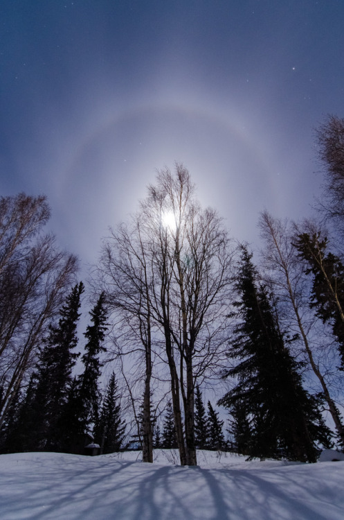 Moon halo in our backyard. Tulit’a, Northwest Territories, Canada.
