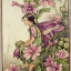 mulberrysage