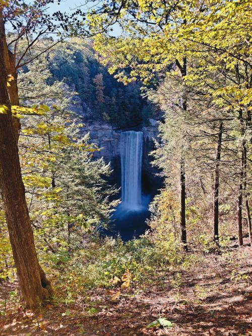 amazinglybeautifulphotography: Taughannock Falls, NY [OC] [3024x4032] - Author: cintune on reddit