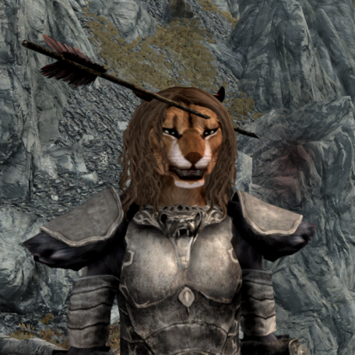 obsidianhusk:id never seen my khajiit make this face before (i dont play as them often) so i stopped