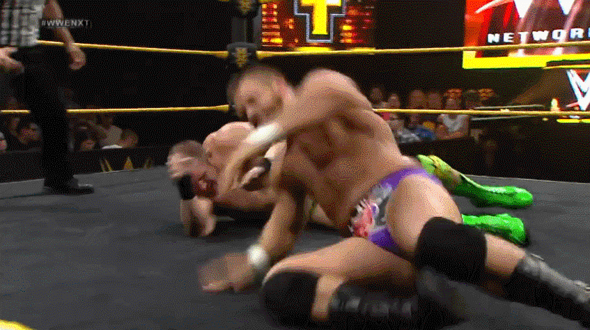 wweassets:  Dash Wilder