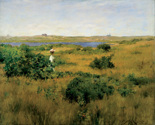 Summer at Shinnecock Hills, William Merritt Chase, 1891