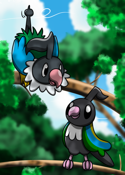 I saw @pipulp ‘s drawing of Chatot from memory and they were so cute, I just had to draw them! 