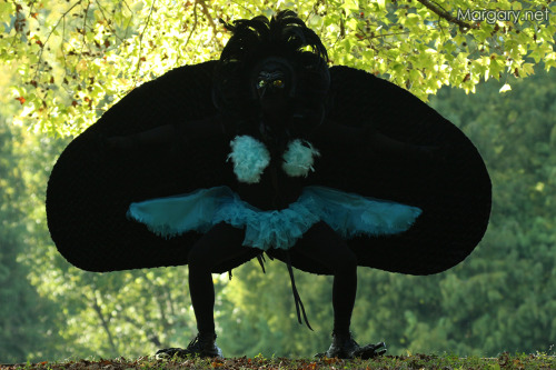 notapaladin:margary:My Bird of Paradise costume (yes, that little bird with the weird mating dance.)