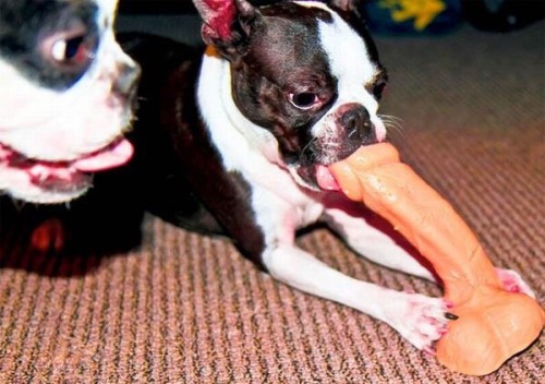 AnnabelleHector'sWorldOfWeird