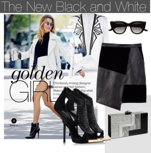 The New Black and White by meredithmaycollection featuring a patchwork skirtSass &amp; Bide embr