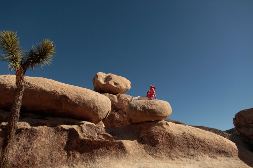   EXCLUSIVE   AMERICANA IN THE DESERT   with   LANDON McGREGOR   PHOTOGRAPH