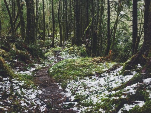 justapplyyourself:Ecola State Park. Cannon Beach, Oregon (March, 2017).