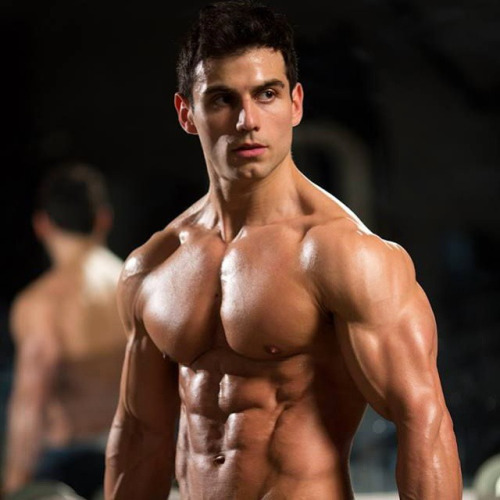 Ripped Gay Muscle
