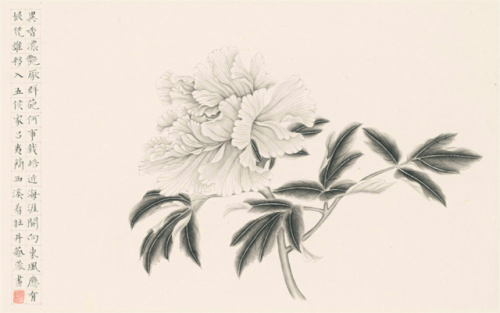 Peony 1 and Peony 2 (牡丹一、牡丹二). Zhang Yirong (张艺蓉). Chinese ink on rice paper. 2017.Zhang Yirong, bor