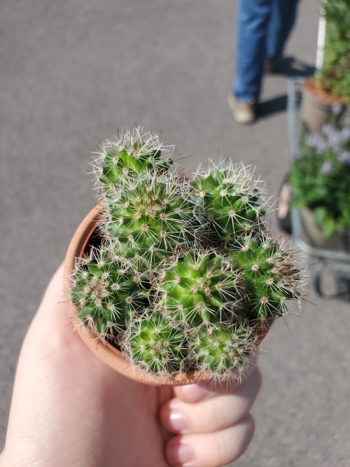 Garden Center Was A Fucking Success