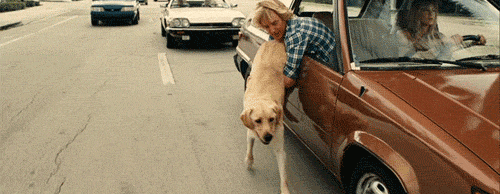 ilogicamente-logico:  Un perro no desea autos lujosos, casas grandes o ropa de diseñador, con una vara se sentirá feliz; a un perro no le importa si eres rico o pobre, astuto o torpe, dale tu corazón y el te dará el suyo.                 