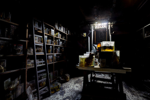sixpenceee:  An imgur user shared what he calls “The Real Frankenstein Laboratory” hidden in the basement of the School of Veterinary Medicine. This lab was discovered deep in abandoned veterinary school and photographed by MMG Zegwaard. (Source &