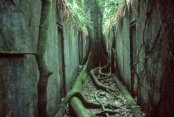 unrar:  French Guiana, Bruno Barbey.