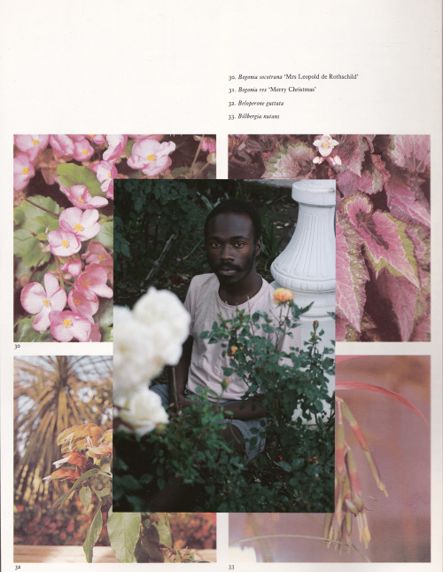 jamesyouth:  The Man Who Loved Flowers x Scans from “The ABC of Indoor Plants”By James Stanciell