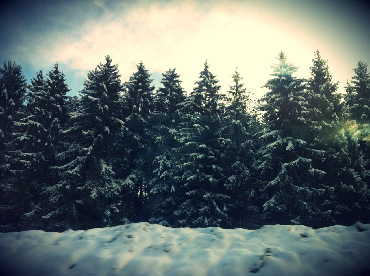 julythetavernwench:  Hello Switzerland !  Snow is here! &lt;3