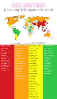 bigpenisandpussies: Sizes.  Where do the