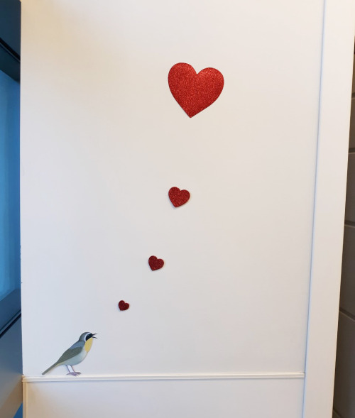 The Valentine’s Day decorations transpired…