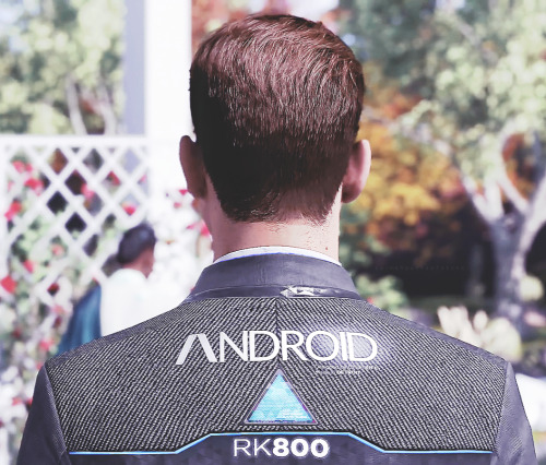 dbh rk800