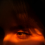 avrknkgrl