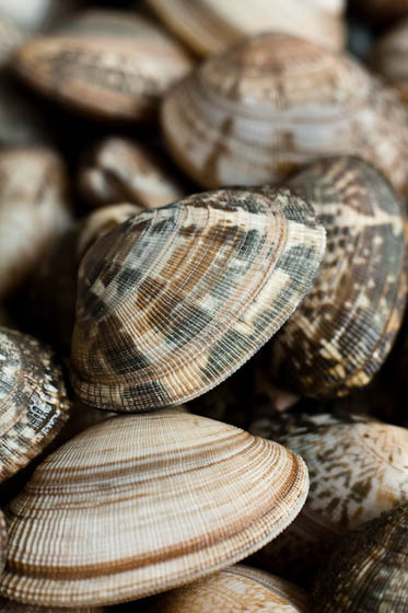 mmmm&hellip; super !!! frutti di mare&hellip;saporiti.. thewolf 
