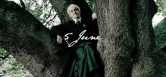 queerdraco:  Happy 35th birthday, Draco Malfoy.