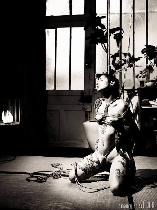 amaury-grisel-shibari:  With @xladymary Shibari & photo by @amaury-grisel-shibari 
