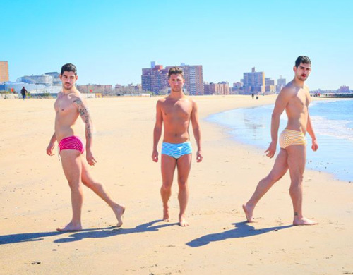 el-mago-de-guapos: Jeff Perla, Michael Zakar & Zach Zakar 