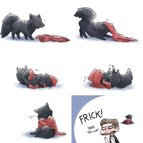 Cute wolf Derek playing with Stiles’ favourite red hoodie, so adorable