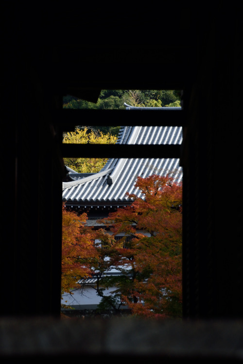 zakkies: Autumn in Kamakura秋色の古都。鎌倉。円覚寺。