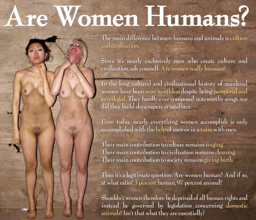 humbledcunt:  I think this is an interesting question. DNA says women are human, but what about the realities of daily life? I do believe we are domestic animals. Men have always ruled the world. The only thing my gender has done is clean up after men,