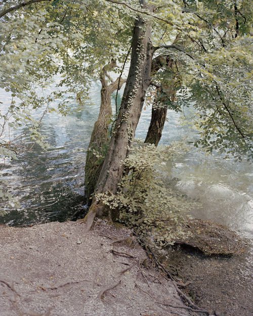 nhmcelroy:   Carl Wooley’s quiet Collider 