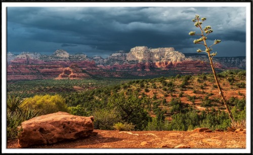 wapiti3:  Guy Schmickle photos (The Desert Southwest -Magical Sedona ) on Flickr. 1-An Agave Trio and Mitten Ridge  2-Harding Springs in Oak Creek Canyon, Arizona 3-The Cibola Mitten at Sunset - Sedona, Arizona 4-Fiery Sunset Over Mitten Ridge - Sedona,