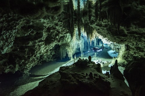 The Yucatan Peninsula is filled with cenotes—underwater caves filled with freshwater.