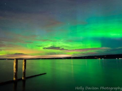 Northern lights in Washington