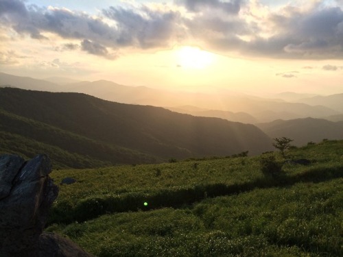 Roan Highlands, Tennessee-June 2018