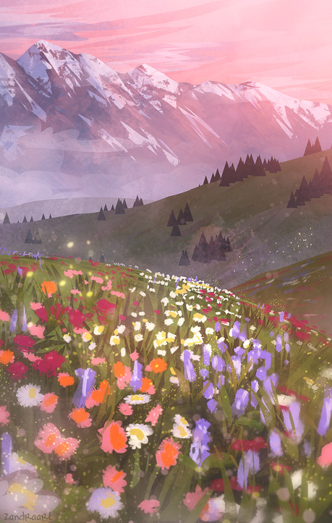 zandraart:  wildflowers 