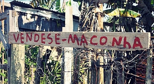 kkk esse é loko