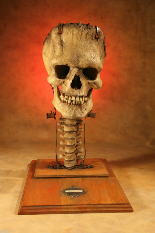 Porn horroroftruant:  The Skull of Frankenstein’s photos