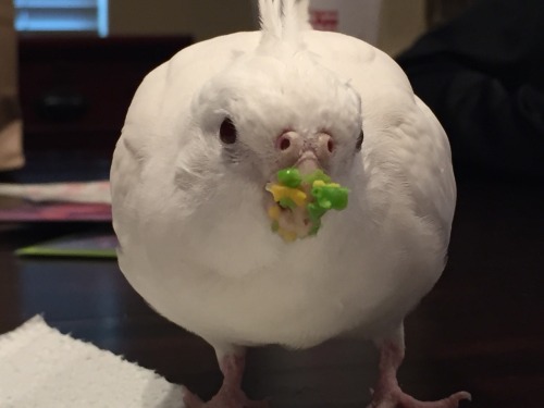 tieltavern: buddy-berry: buddy-berry: sweetiesugarbird: She round and she messy Excellent table mann