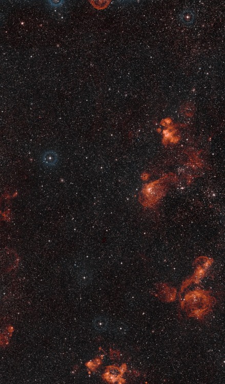 NGC 2014/2012 - Magellanic CloudCredits: ESO/Digitized Sky Survey 2 - Davide De Martin