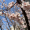 satsukiazuma: