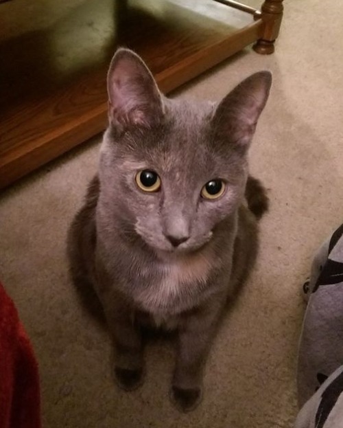 alone-in-your-thoughts:LOOK AT MY PRECIOUS LITTLE ARYA. LOOK AT THAT FACE.