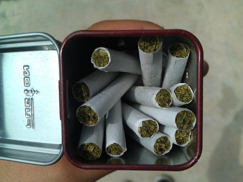 Sigo Siendo Nadie.!