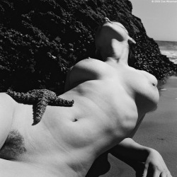 ymutate:however ymutate does have a weakness for gratuitous shots of starfish being exploited  vivipiuomeno:  A Starfish Story in Malibu by Zoe Wiseman ph. 2009 